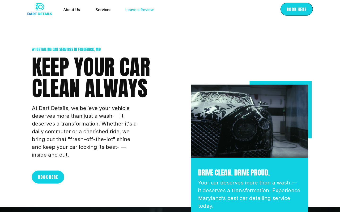 Dart Details website preview